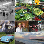 Used Digital Camera | Canon Powershot ELPH 300 HS Digital Camera 🍒 | Complete Set