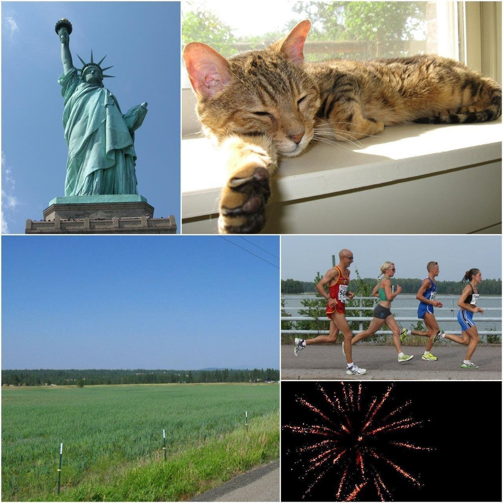 Used Digital Camera | Canon Powershot A590 IS Digital Camera | Complete Set